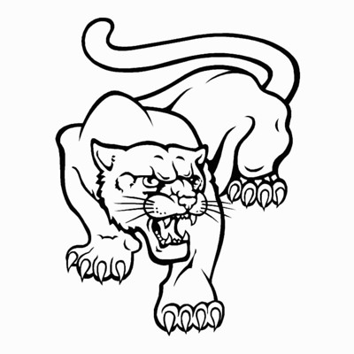 Cougar